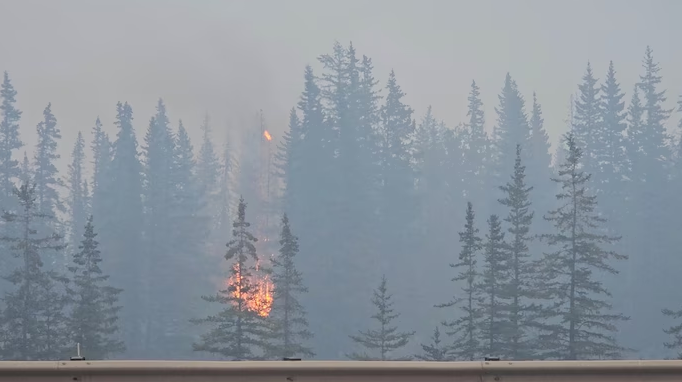 Jasper Wildfire