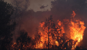 Wildfires - Greece